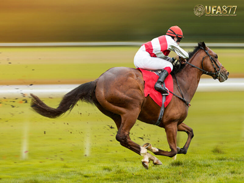 FormHorse Select